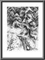 Enchanted Forest - 1991