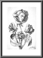 Flowers - 1993