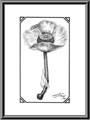 Matchbox Flower - 1996