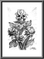 Thorns - 1993