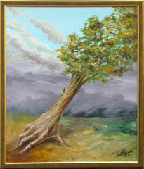 Storm 2007