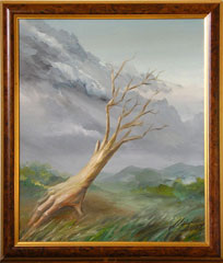 Storm 2009