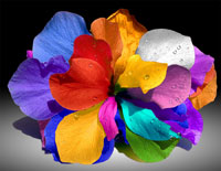 Hibiscus - Final image